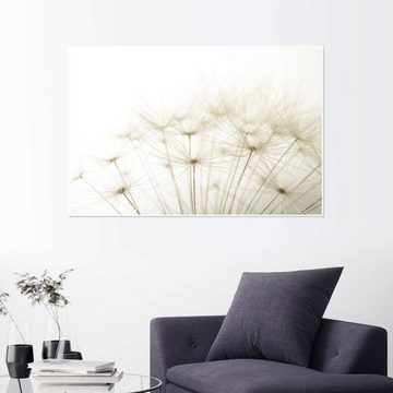 Posterlounge Poster Editors Choice, flauschige Pusteblume, Badezimmer Fotografie