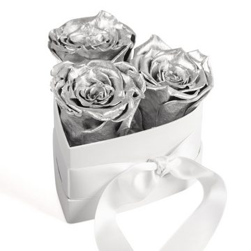 Kunstpflanze Infinity Rosenbox Silberhochzeit Geschenk Jubiläum 25 Jahre Rosen, ROSEMARIE SCHULZ Heidelberg, Höhe 10 cm, haltbare Blumen