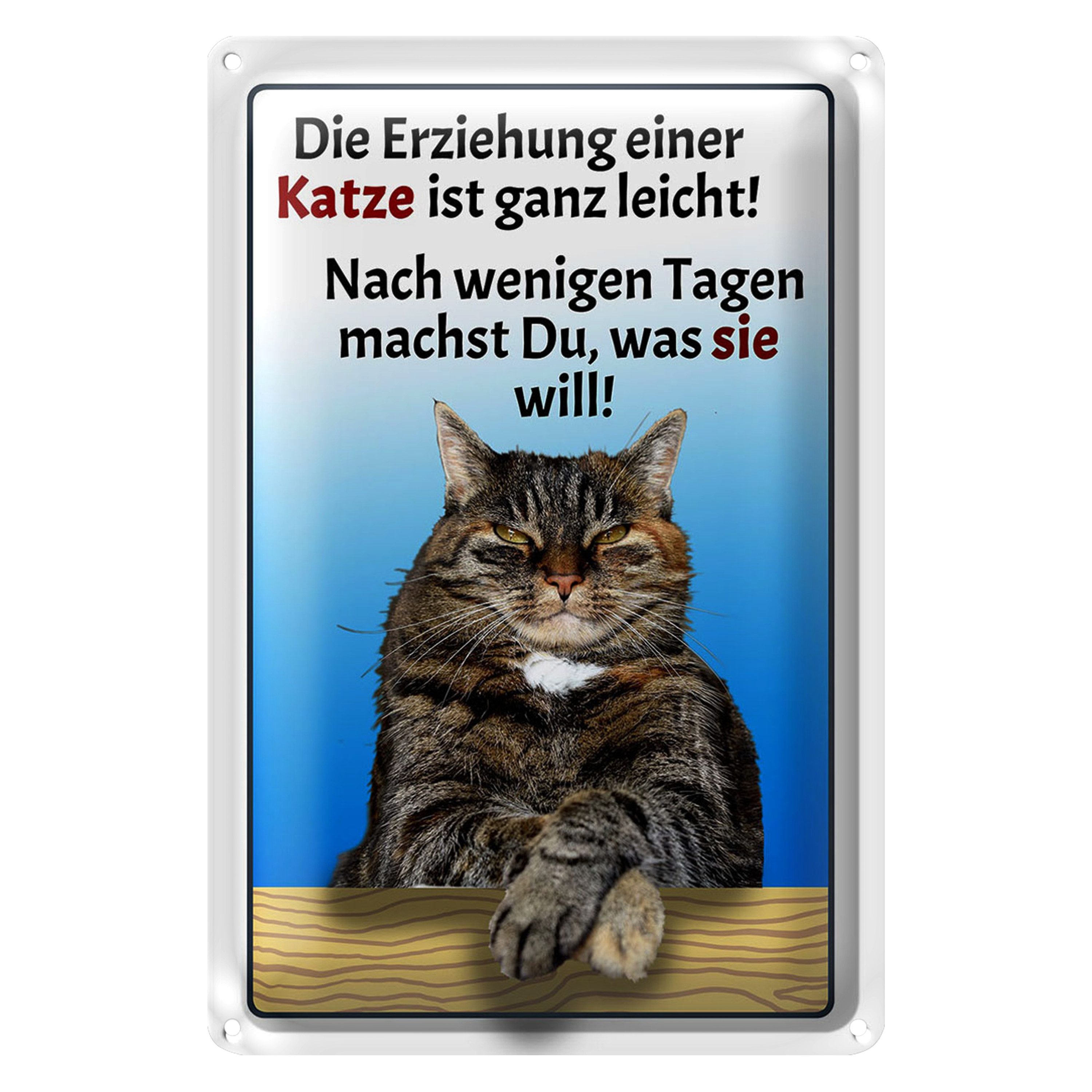 Roomando Metallschild Spruch 12x18cm die Erziehung einer Katze leicht