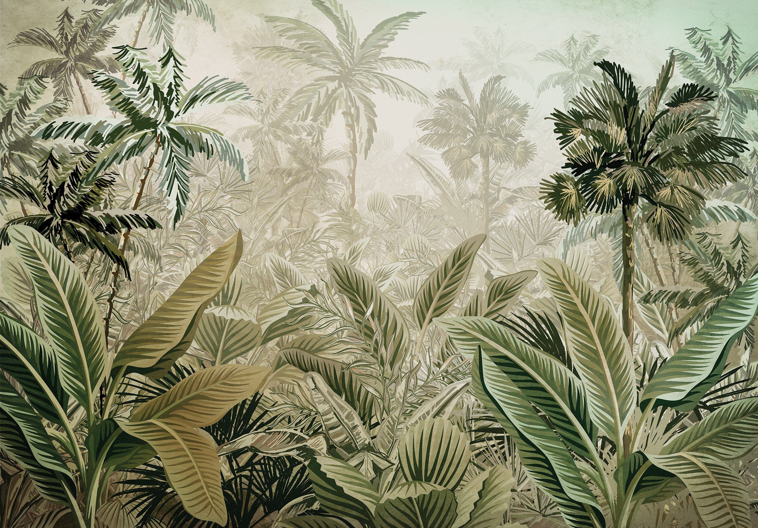 Wallarena Fototapete Dschungel Wald Amazonia Wald günstig online kaufen