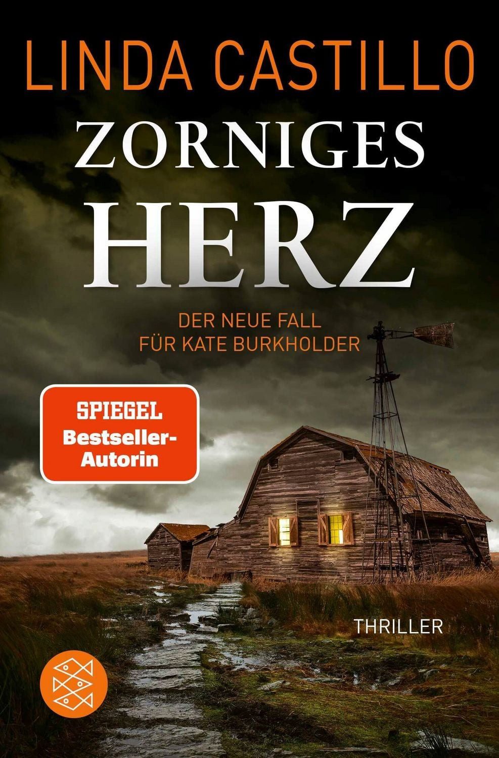 Zorniges Herz / Linda Castillo