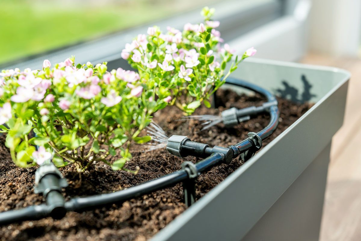 Maximex Blumenkralle Maximex Gartenbewässerungssystem - Einfache Montage, Kunststoff, Sc