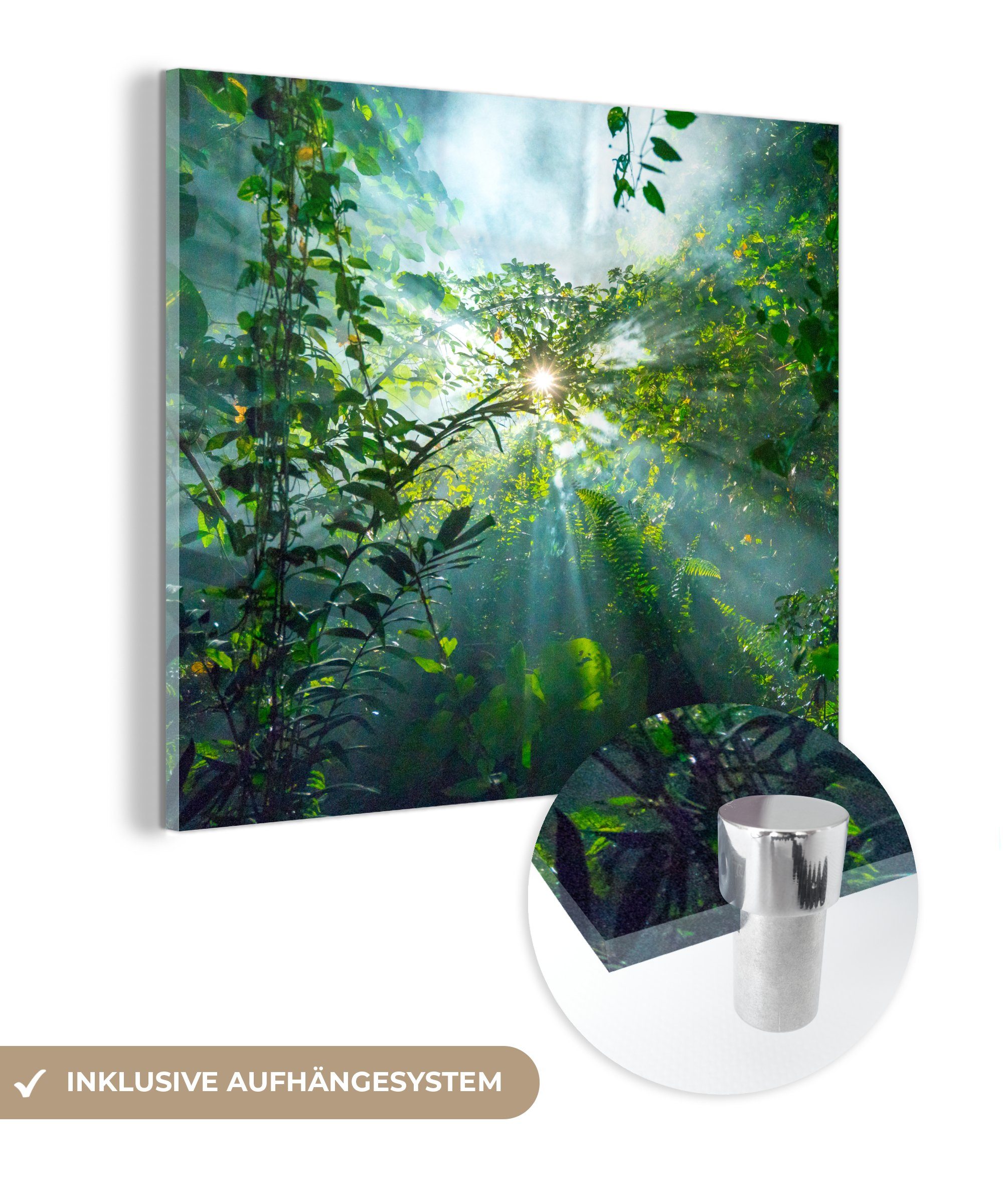 MuchoWow Acrylglasbild Sonnenlicht scheint auf eine Höhle im Regenwald von Malaysia, (1 St), Glasbilder - Bilder auf Glas Wandbild - Foto auf Glas - Wanddekoration