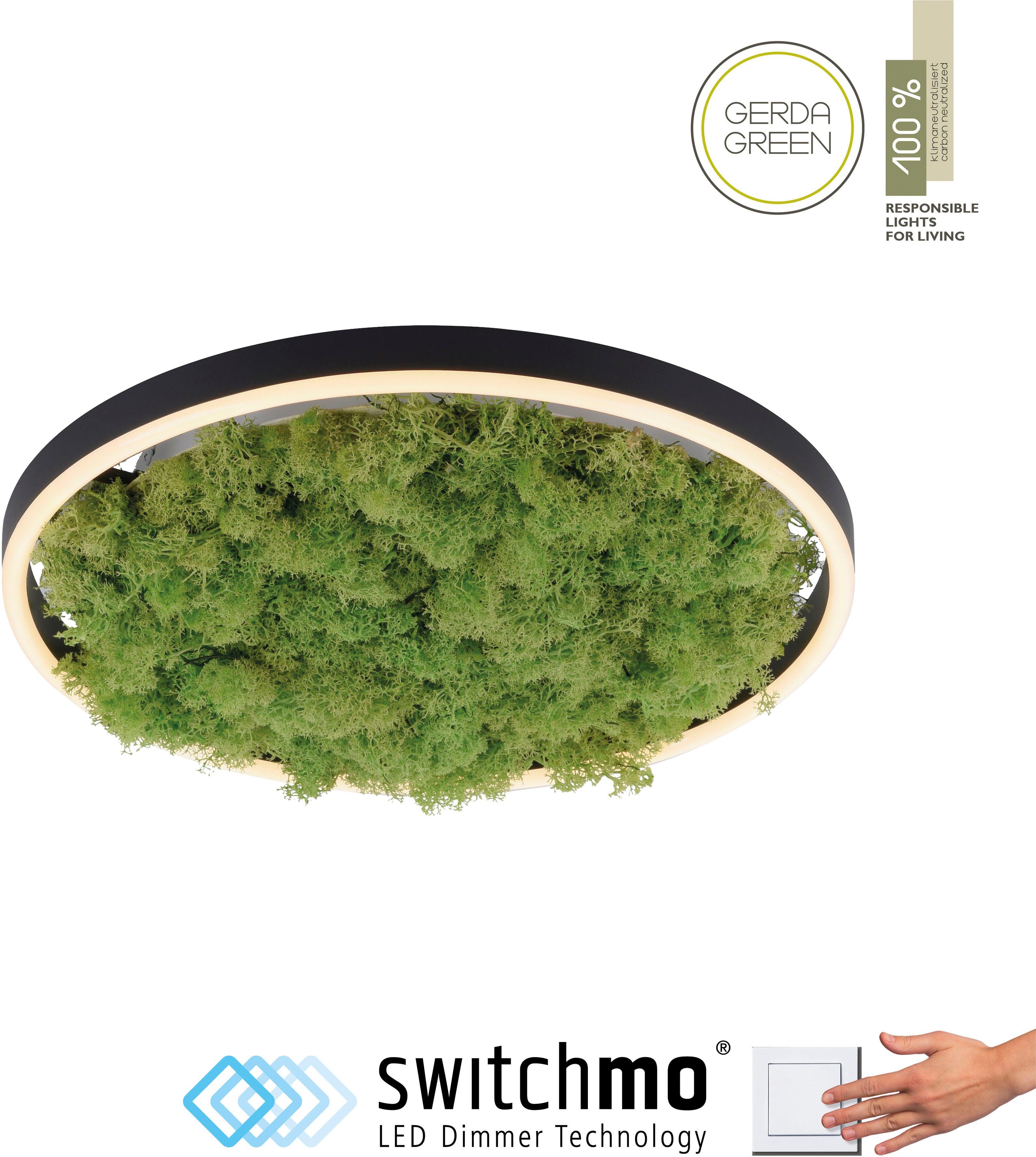 JUST LIGHT Deckenleuchte GREEN RITU, LED günstig online kaufen