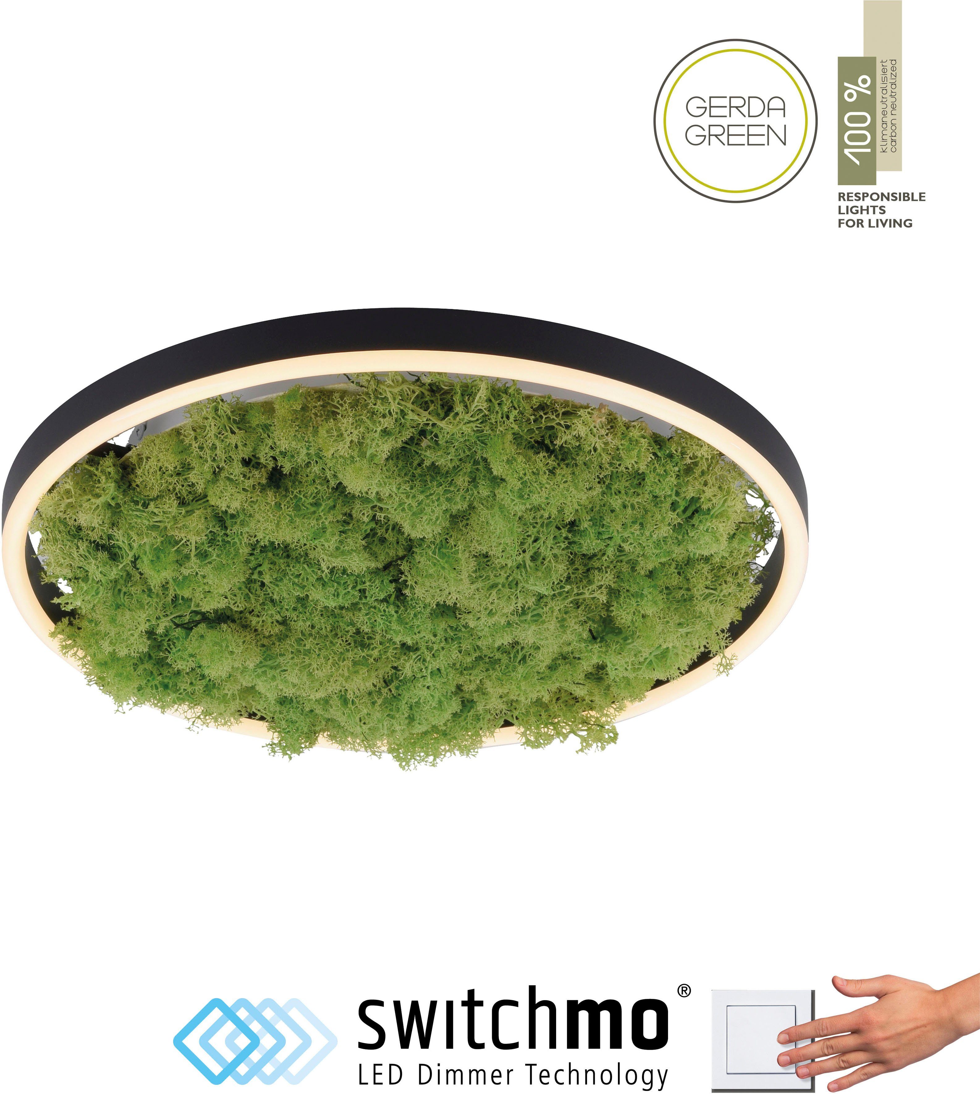 JUST LIGHT Deckenleuchte GREEN RITU, LED fest integriert, Warmweiß,  3-Stufen Dimmung durch Switchmo-Technologie