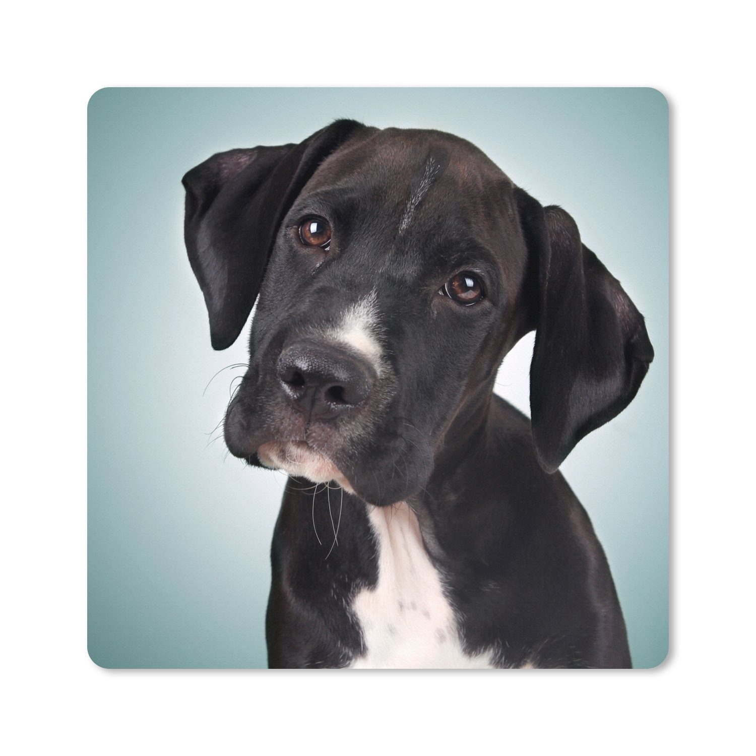 MuchoWow Gaming Mauspad Süßer schwarzer und weißer Hund (1-St), Gaming, Rutschfester Unterseite, Mausunterlage, 80x80 cm, XXL, Großes