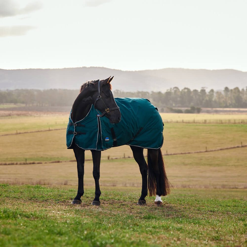 WeatherBeeta Pferde-Regendecke Weatherbeeta Comfitec Classic Turnout 50g
