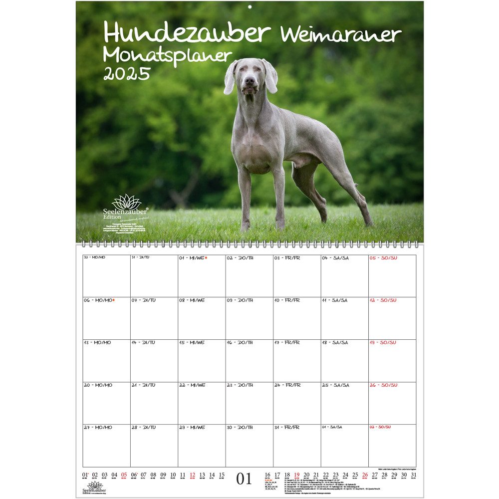 Seelenzauber Wandkalender Hundezauber Weimaraner Wand Planer Kalender