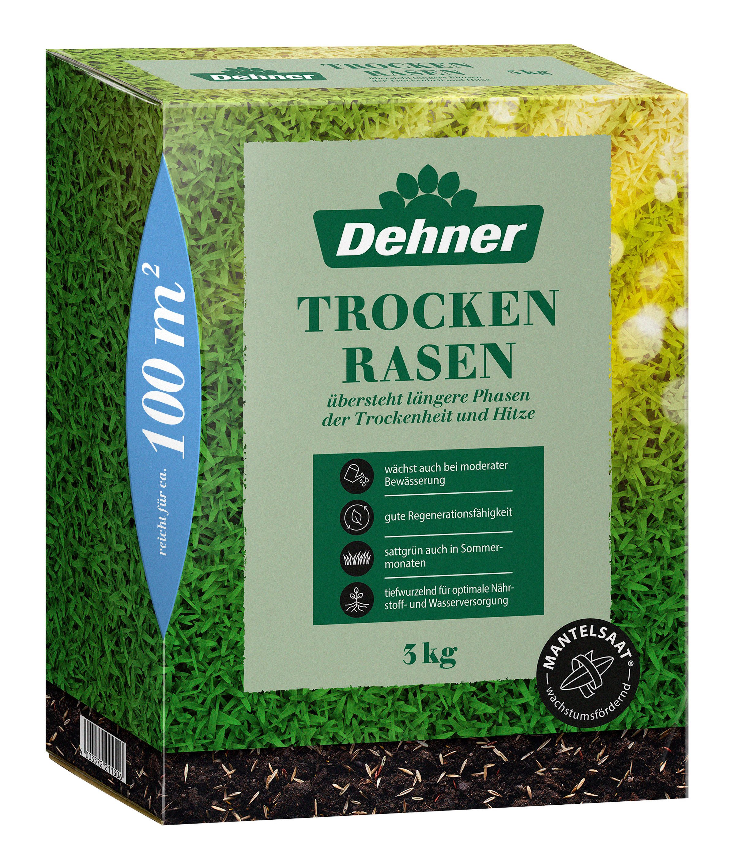 Rasensamen Trockenrasen Saatgut, trockenresistent, pflegeleicht, versch. Größen