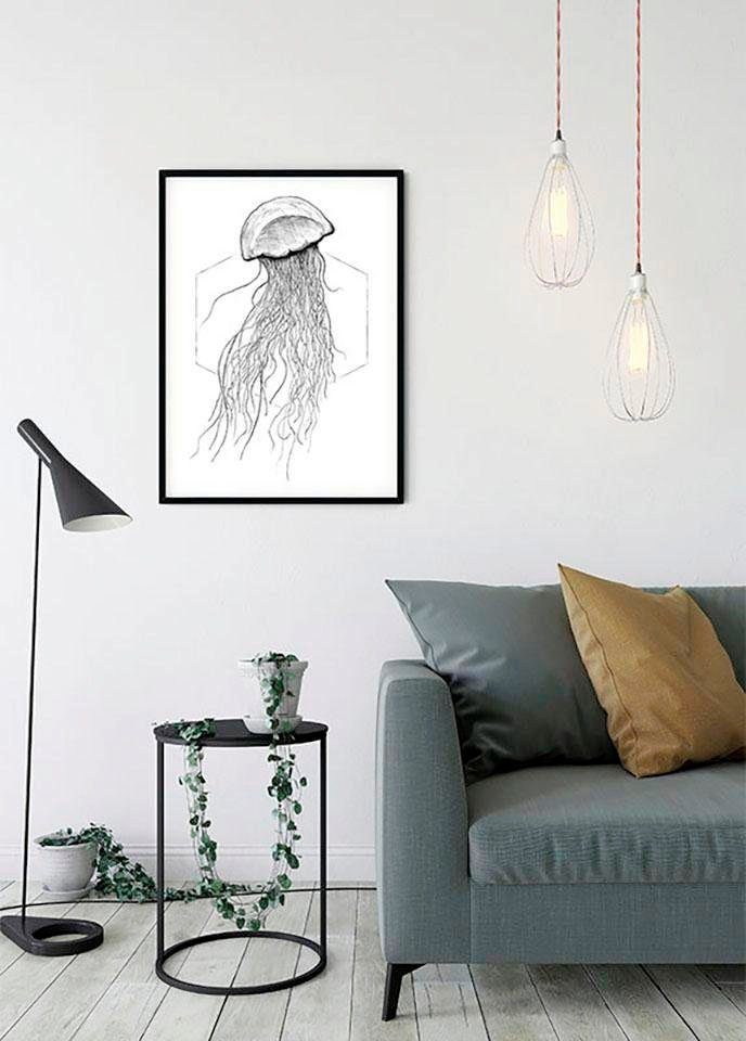 Komar Poster Jellyfish Kinderzimmer, St), Schlafzimmer, (1 Wohnzimmer Tiere White