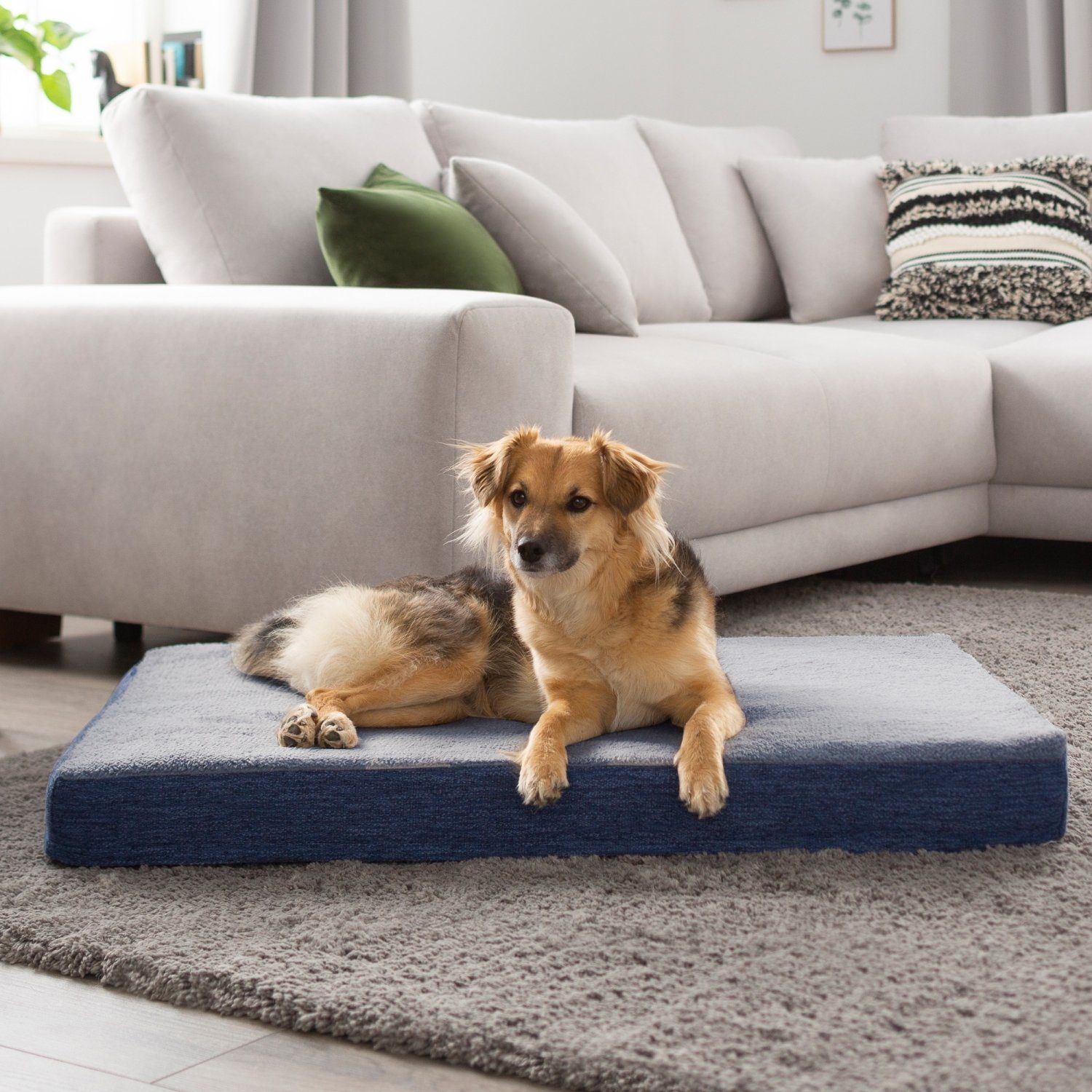 PETSTUFF Tierkissen Hundebett Hundematte Hundekissen Tierkissen, günstig online kaufen