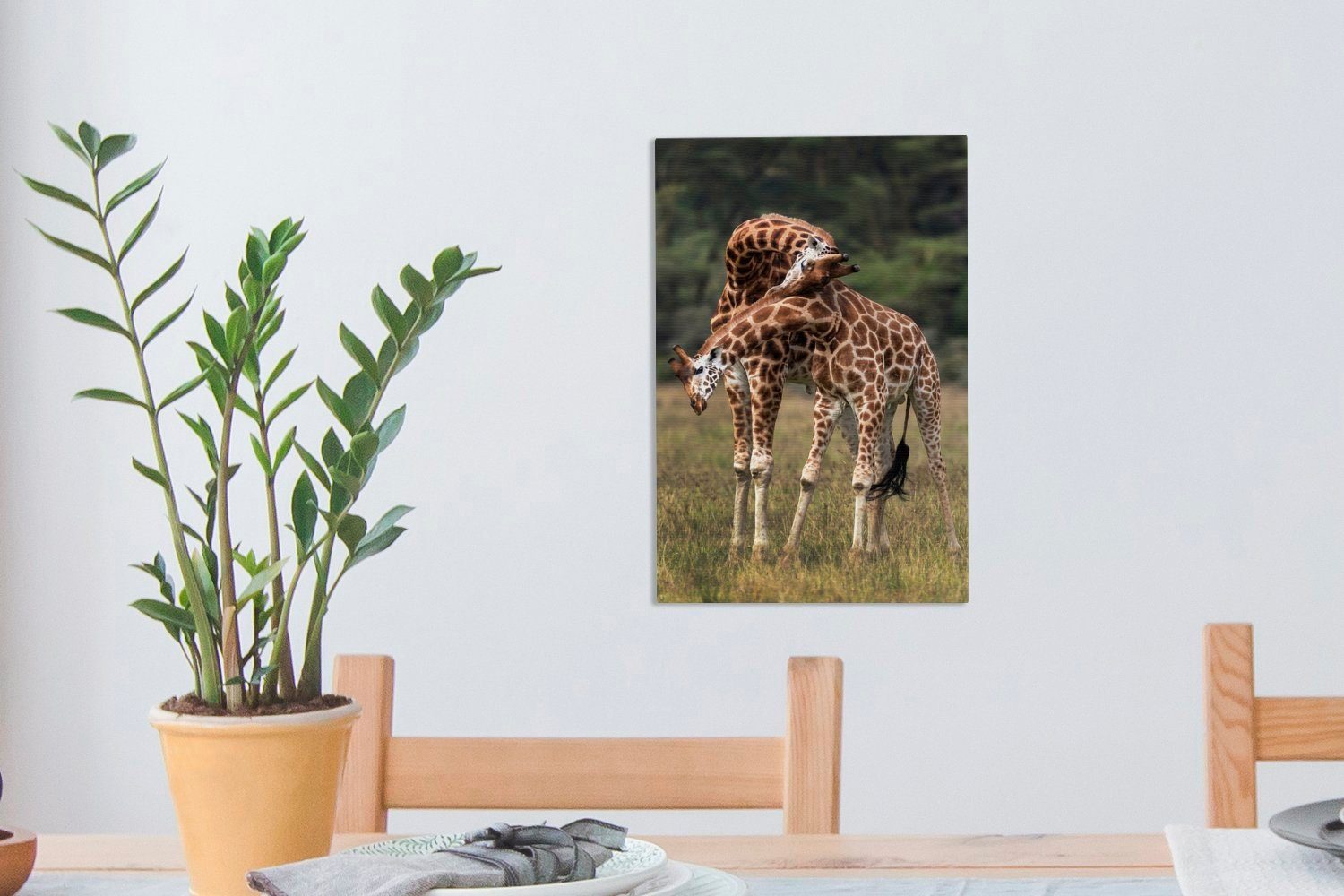 Hälsen, cm (1 20x30 St), Leinwandbild mit bespannt verschlungenen Gemälde, Zwei Leinwandbild inkl. Giraffen OneMillionCanvasses® fertig Zackenaufhänger,