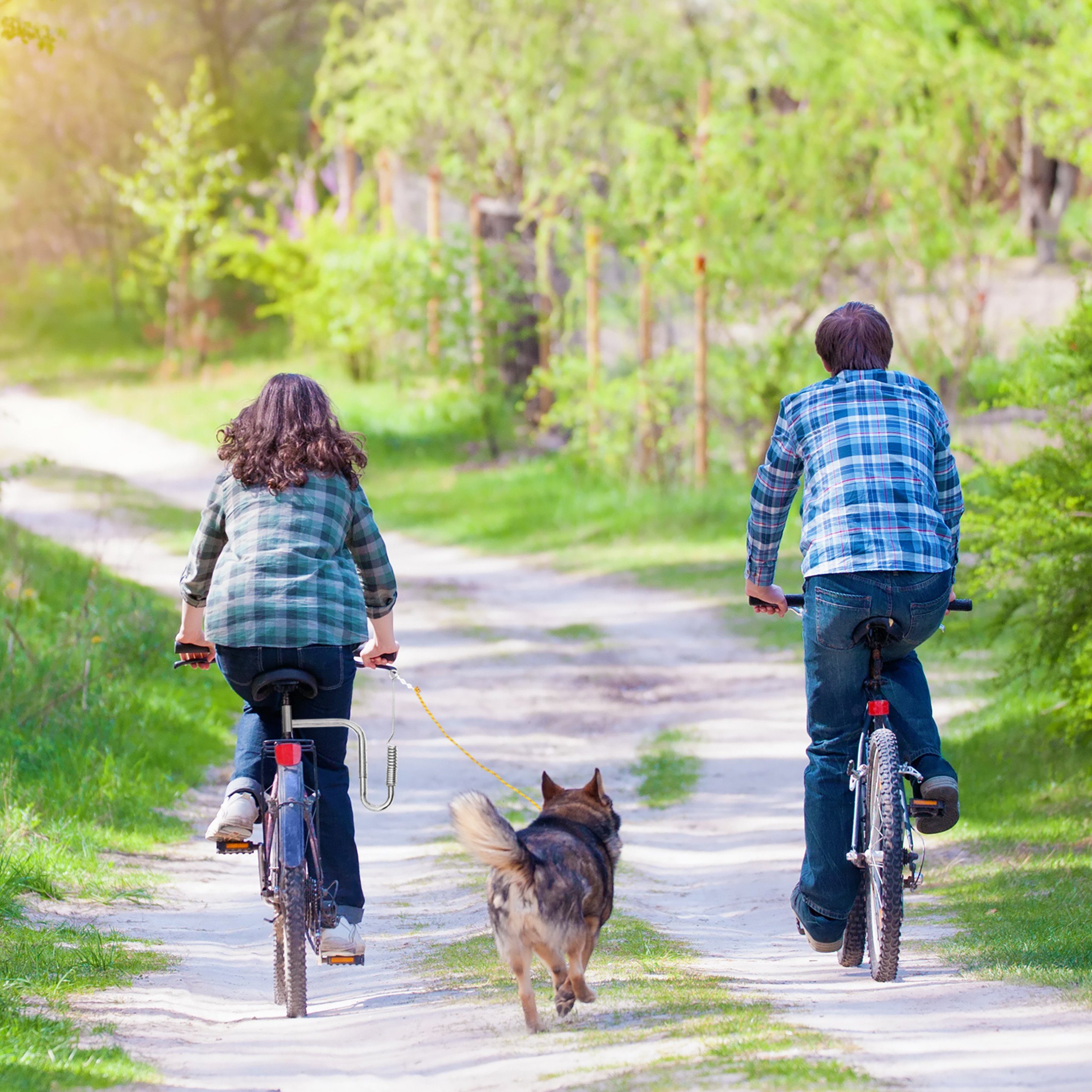 relaxdays Fahrradleine mit Abstandhalter für Hunde, Stahl