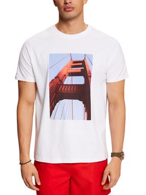 Esprit T-Shirt Bedrucktes Baumwoll-T-Shirt (1-tlg)