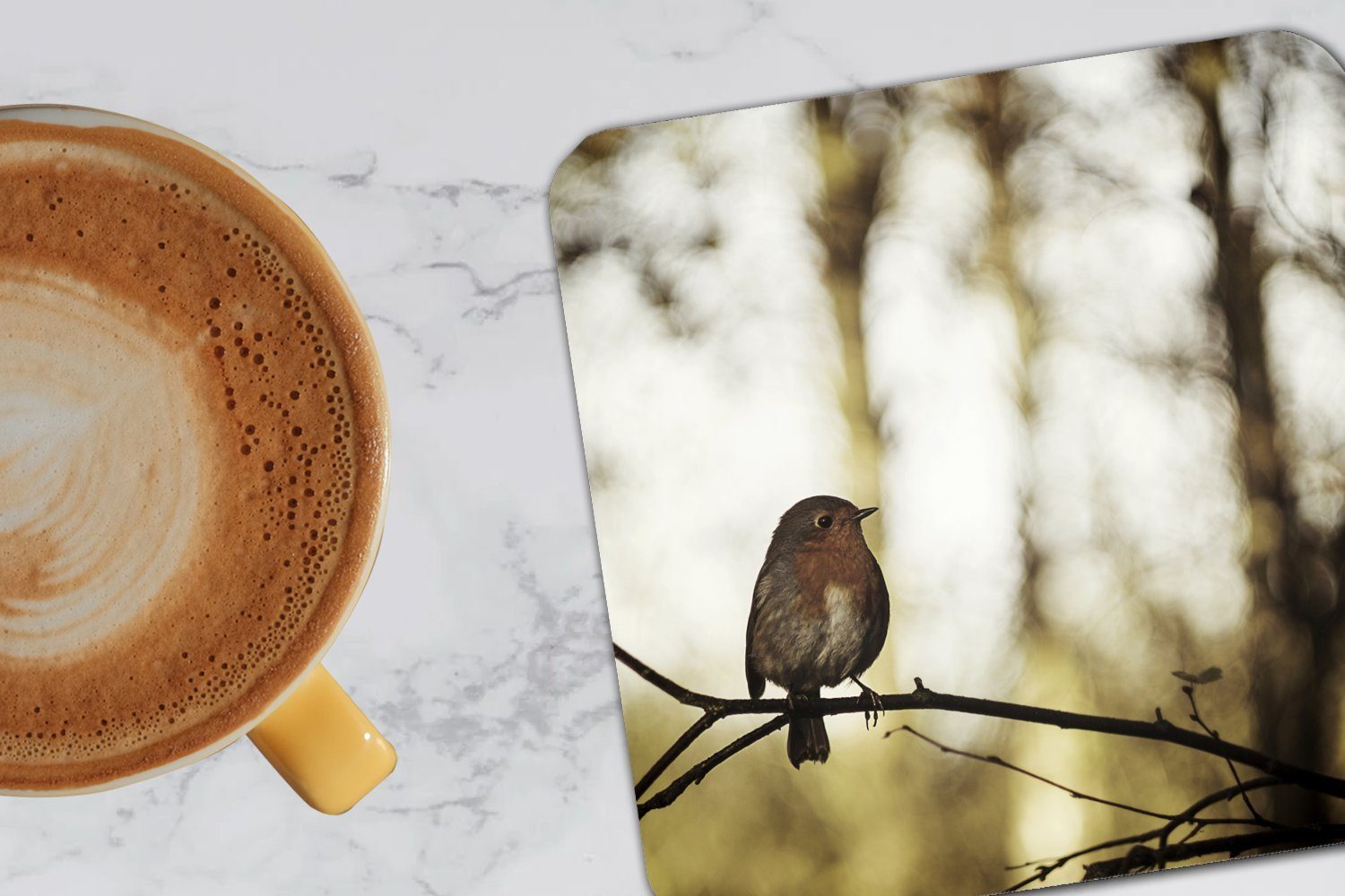 Zubehör Glasuntersetzer, Tischuntersetzer, 6-tlg., Untersetzer, Natur für MuchoWow Rotkehlchen - Zweig, Gläser, Korkuntersetzer, Glasuntersetzer - Tasse