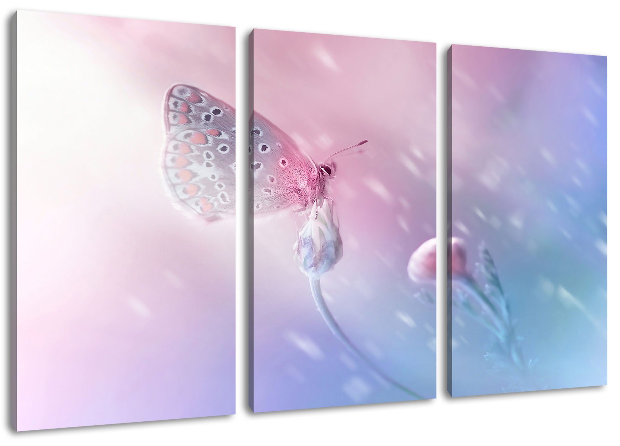 Schmetterling auf St), Blütenknospen, (120x80cm) fertig 3Teiler Blütenknospen Leinwandbild Zackenaufhänger bespannt, Pixxprint (1 auf Schmetterling inkl. Leinwandbild