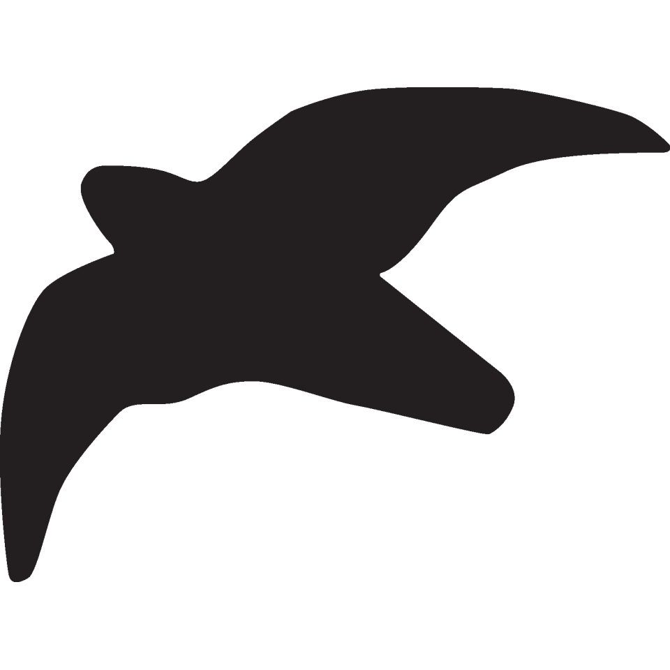 Hinweisschild Fensteraufkleber Vogel, schwarz, Folie, selbstkl., Spannbreite 300mm