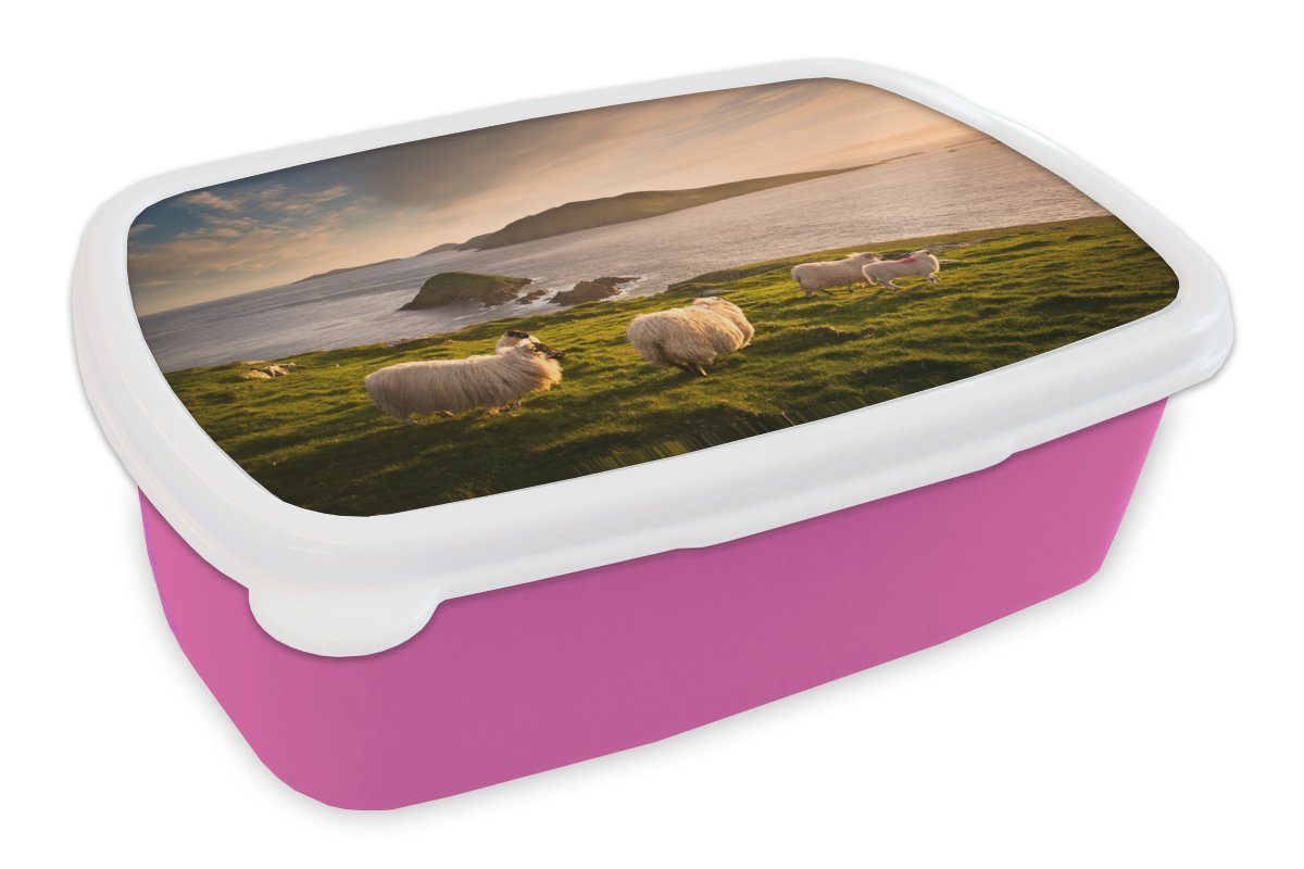 MuchoWow Lunchbox Schafe an der irischen Küste, Kunststoff, (2-tlg), Brotbox für Erwachsene, Brotdose Kinder, Snackbox, Mädchen, Kunststoff rosa