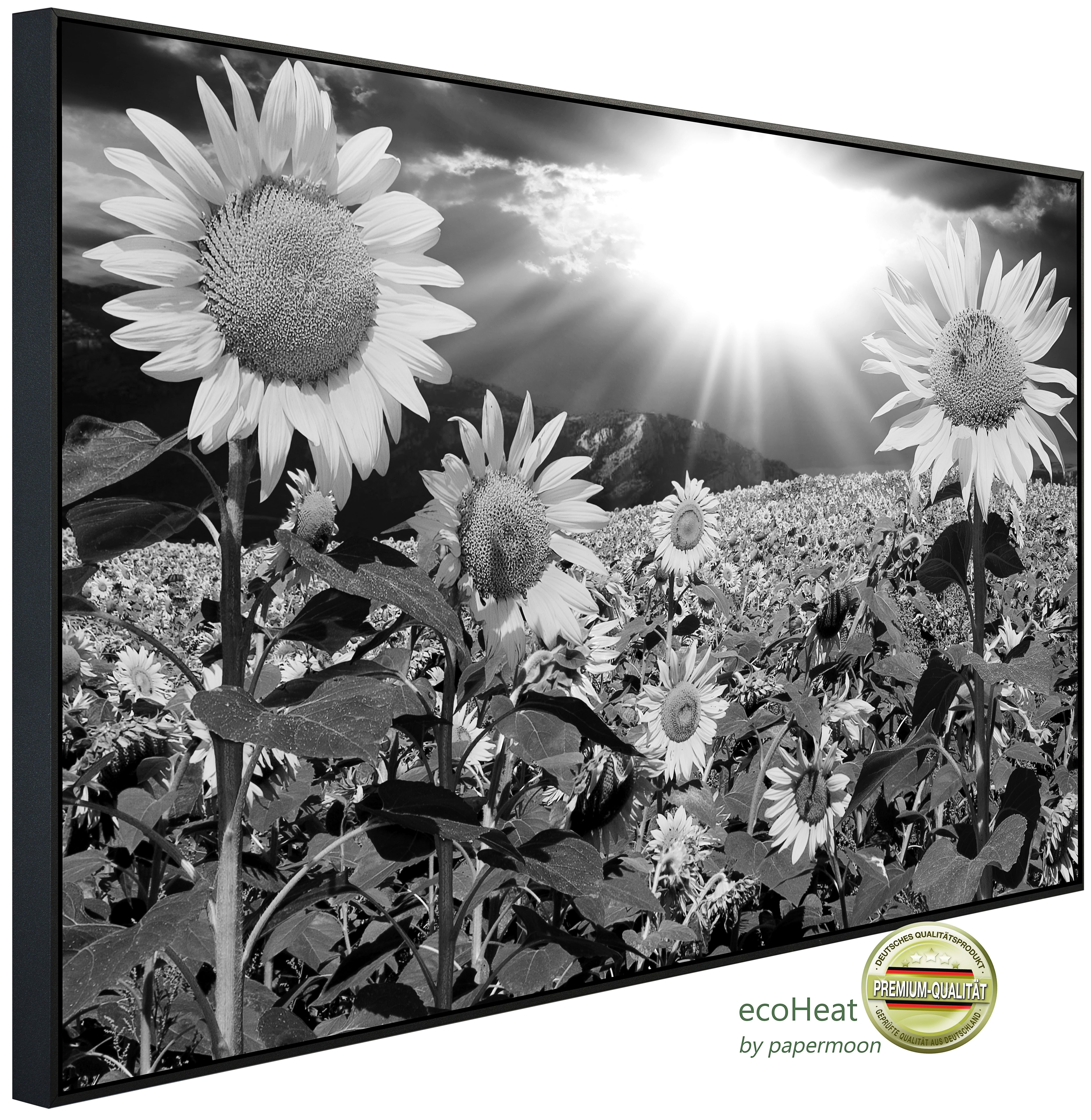 Papermoon Infrarotheizung INFRAROT-BILD-HEIZUNG, Pusteblume Schwarz & Weiß, TÜV-Rheinland/GS zertifiziert, angenehme Strahlungswärme