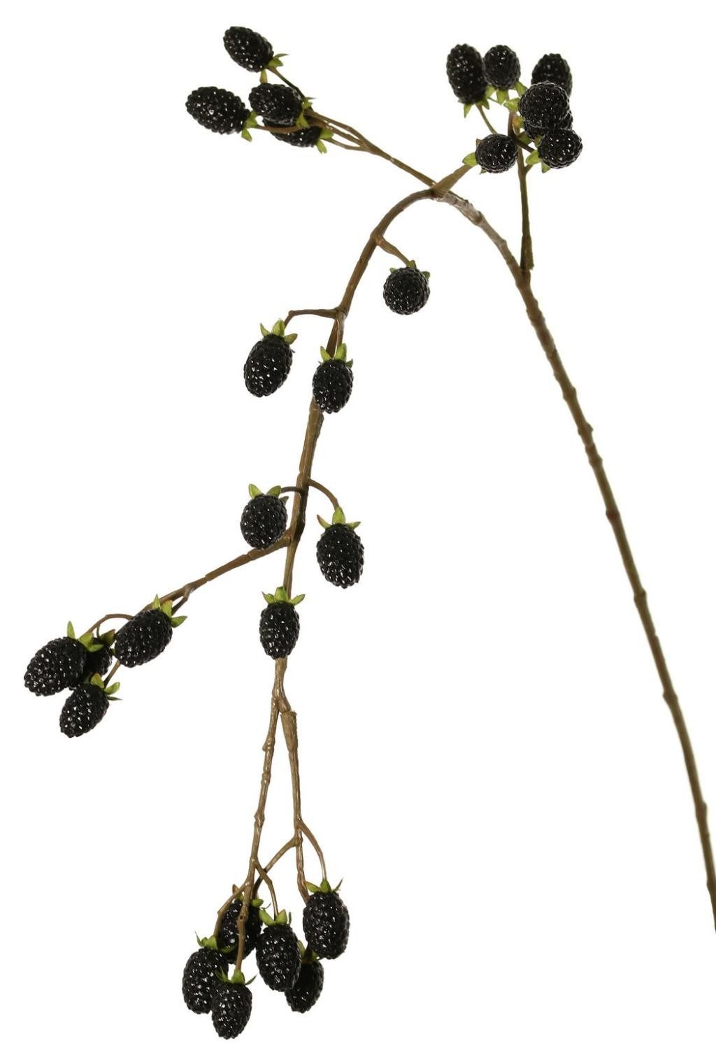 Kunstzweig Künstlicher Zweig Brombeere URUMA mit Früchten, schwarz, 100cm Brombeere, artplants, Höhe 100.0 cm