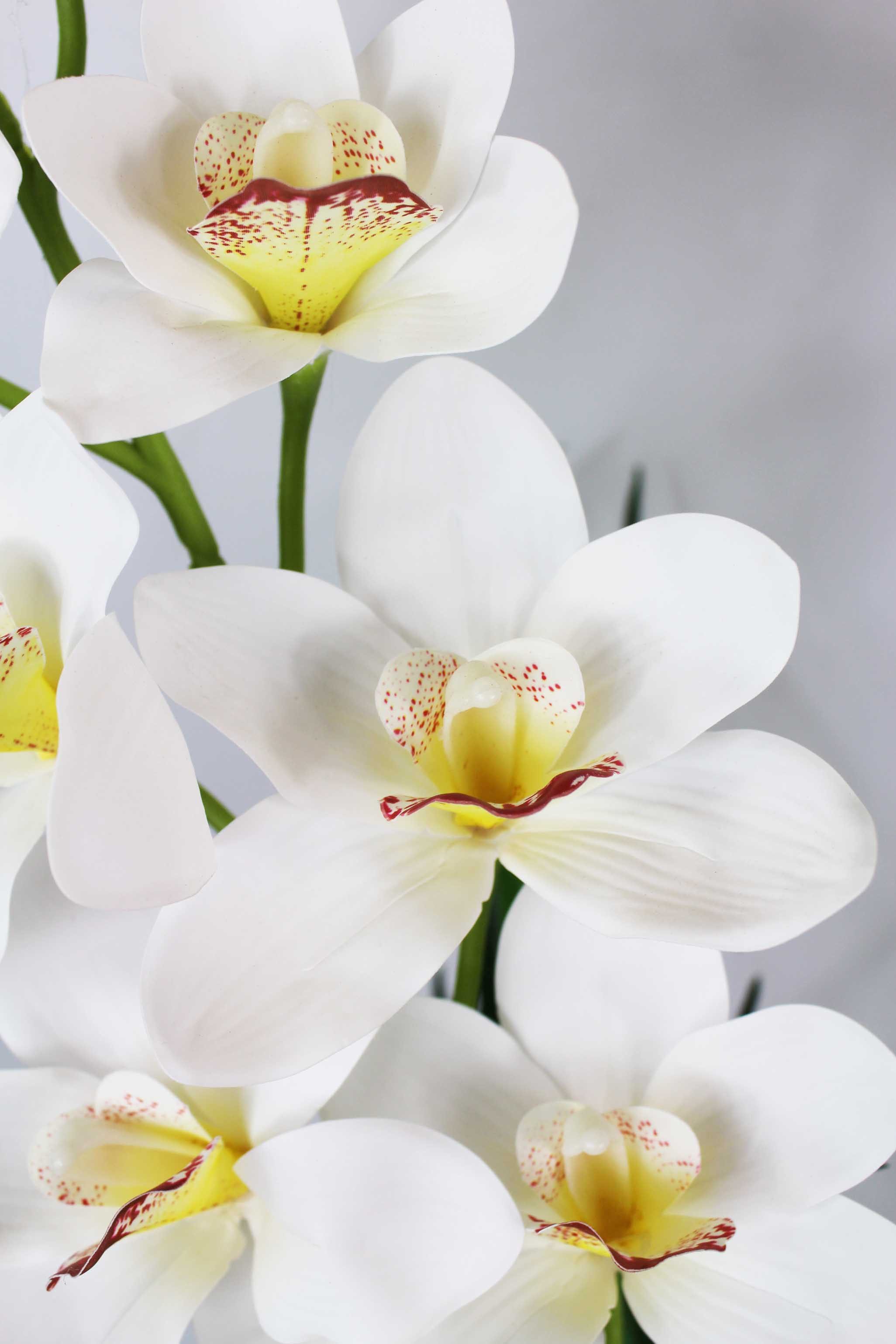 Kunstorchidee künstliche Orchidee Groß mit Kunstgras günstig online kaufen