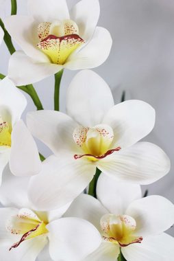 Kunstorchidee künstliche Orchidee Groß mit Kunstgras im Topf Zimmerpflanze Orchidee, Arnusa, Höhe 85 cm, wie echt real Touch