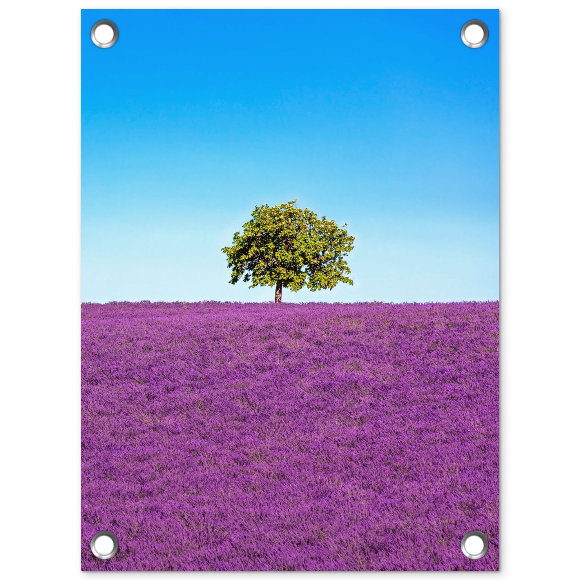 OnlyWow Poster für Garten Baum - Lila - Himmel - Lavendel, Gartenposter, Outdoor Bilder, Gartendeko für draußen, 30x40 cm