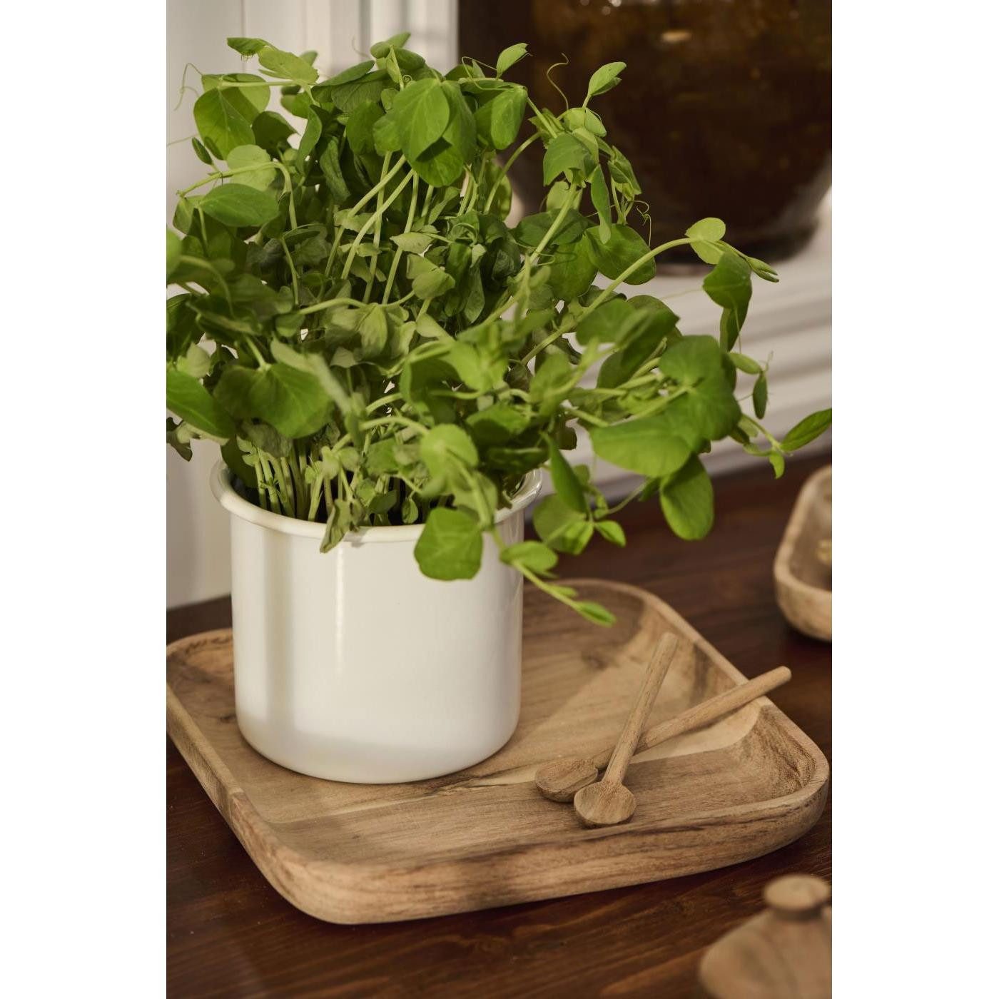 Ib Laursen Kochlöffelhalter Ib Laursen Vorratsdose Emaille Weiß (15cm) günstig online kaufen