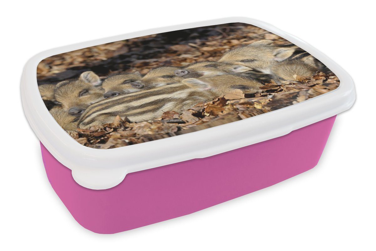 MuchoWow Lunchbox Schwein - Wild - Groß, Kunststoff, (2-tlg), Brotbox für Erwachsene, Brotdose Kinder, Snackbox, Mädchen, Kunststoff rosa