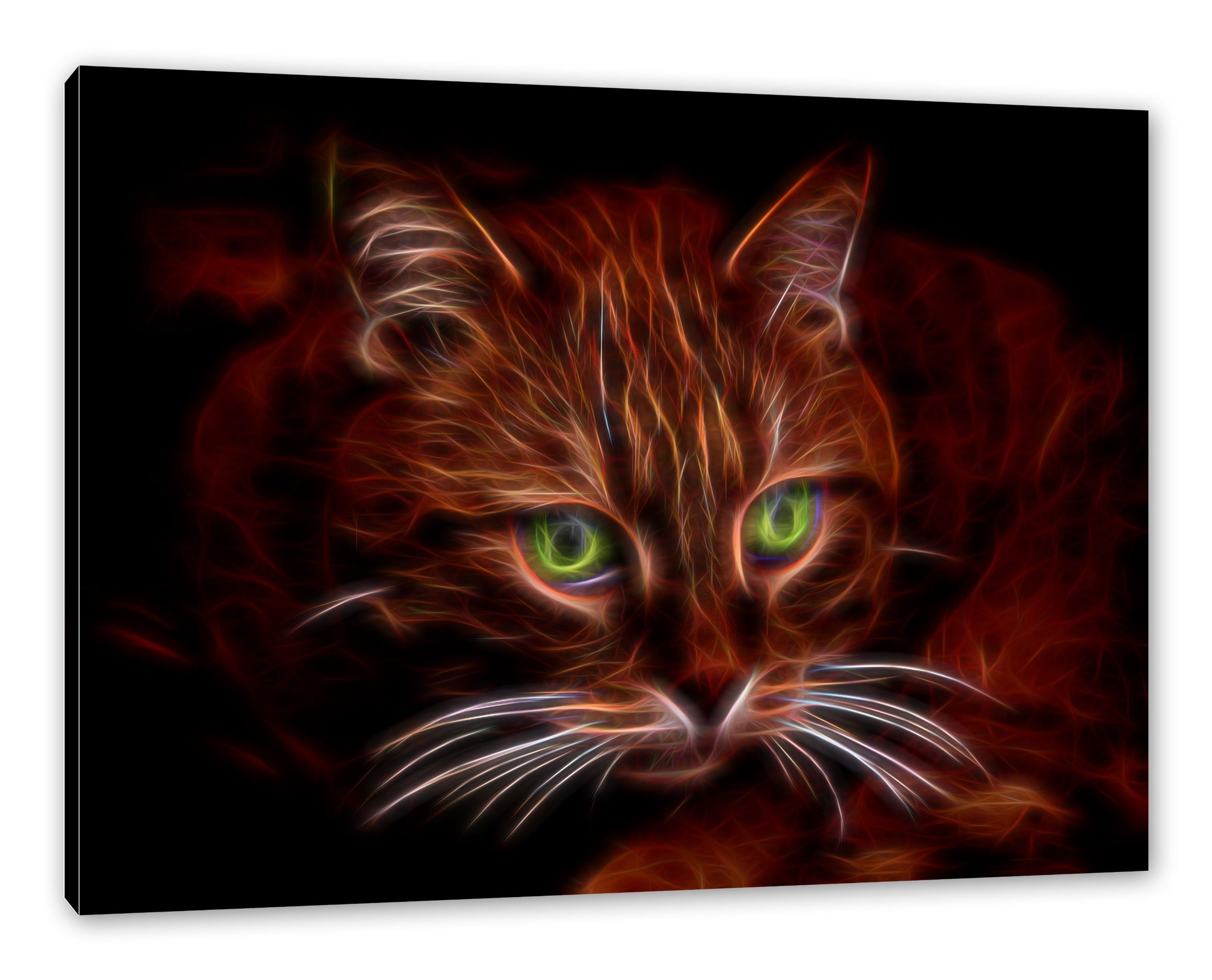Pixxprint Leinwandbild schöne Hauskatze, schöne Hauskatze (1 St), Leinwandbild fertig bespannt, inkl. Zackenaufhänger