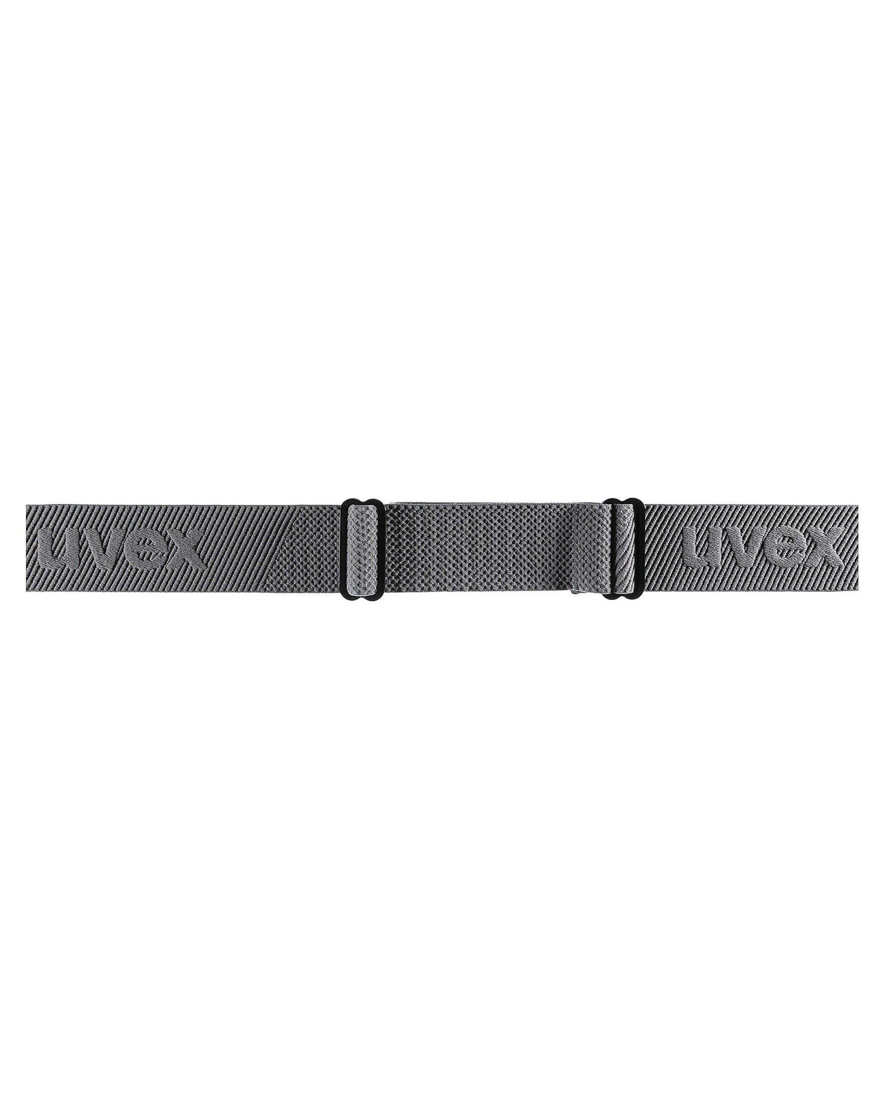 Uvex Skibrille (231) DOWNHILL 2100 grau Skibrille CV