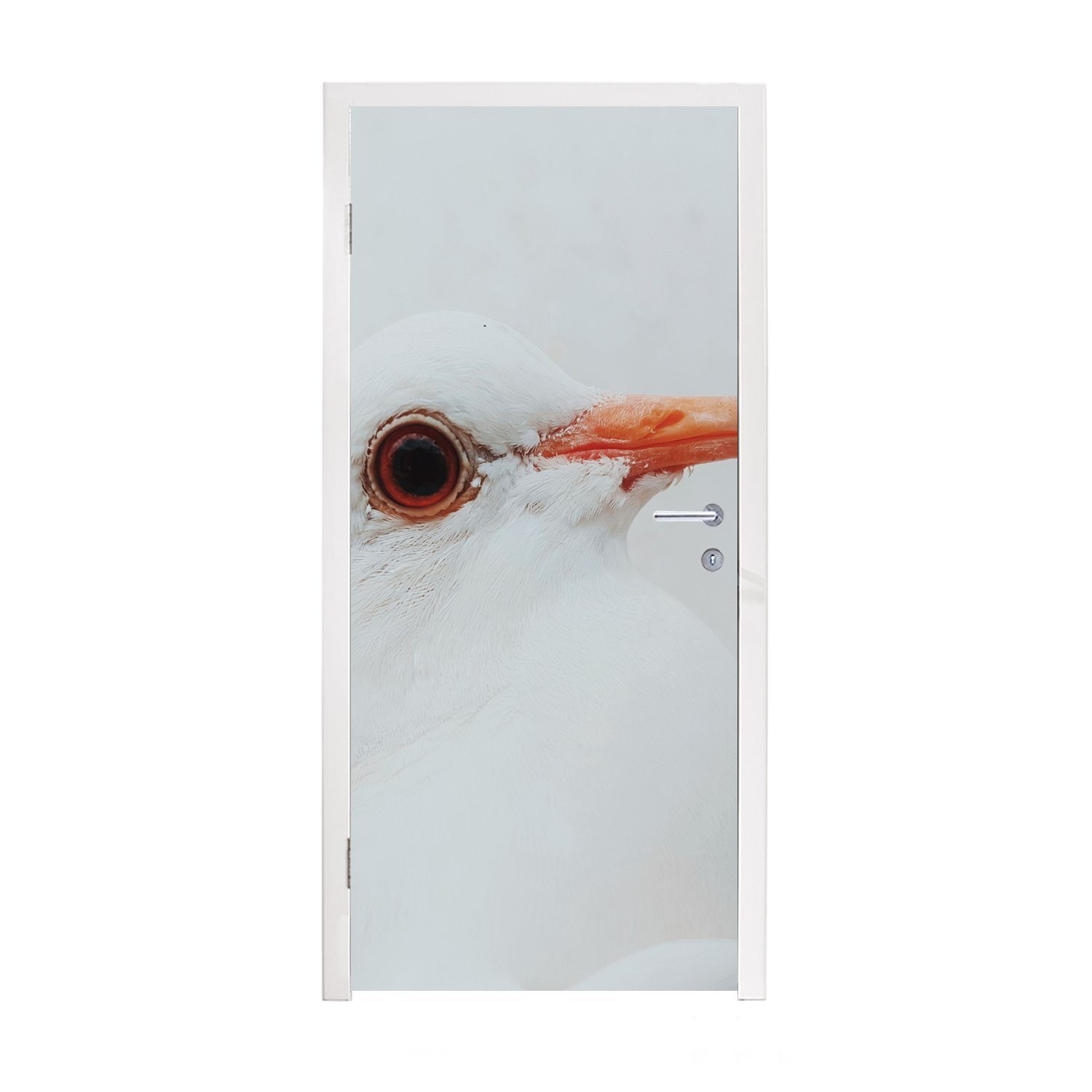 MuchoWow Türtapete Tür, cm weißen für Taube, einer Türaufkleber, Fototapete Nahaufnahme Matt, bedruckt, 75x205 St), (1