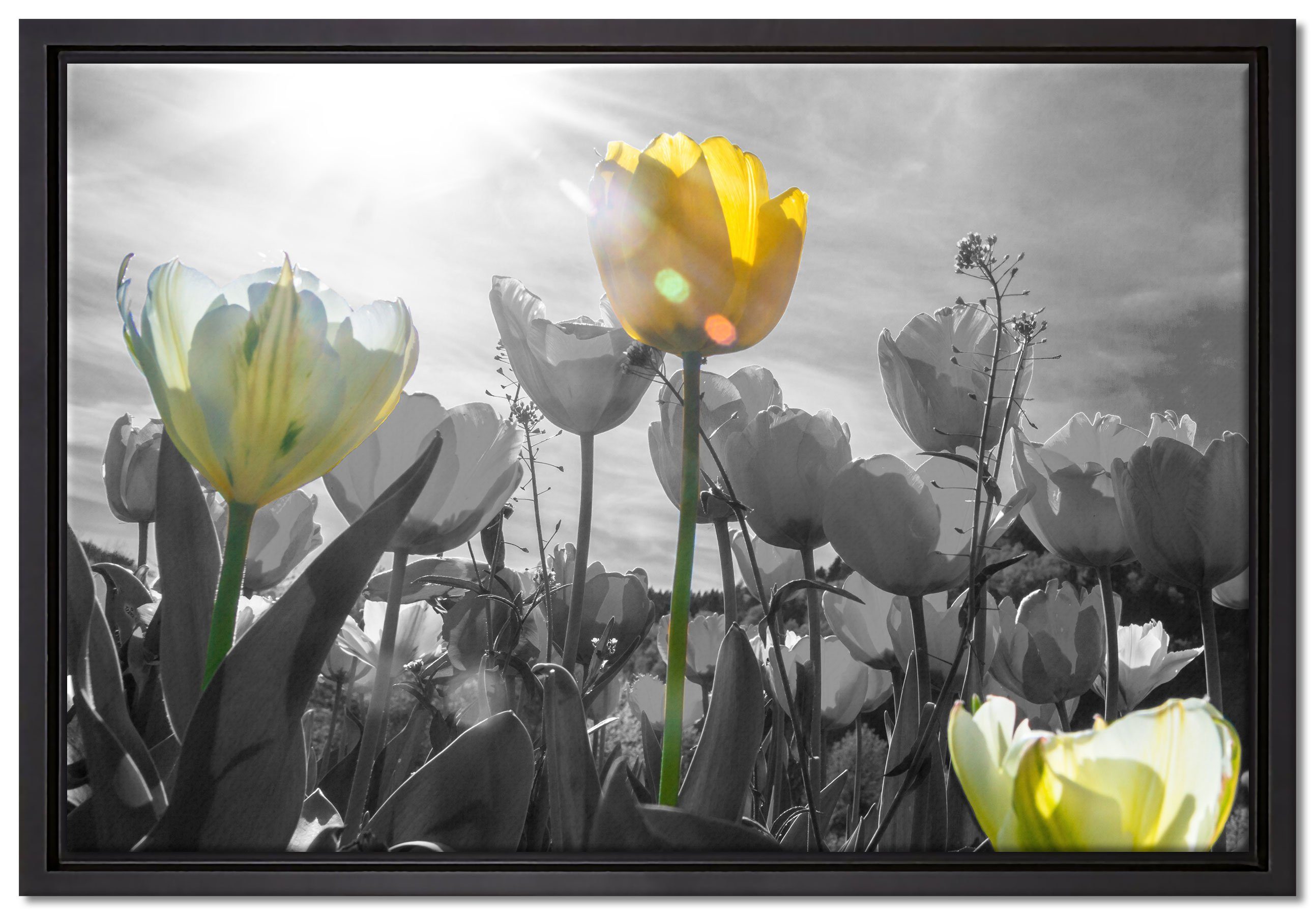 Pixxprint Leinwandbild wunderschöne Tulpenwiese, Wanddekoration (1 St), Leinwandbild fertig bespannt, in einem Schattenfugen-Bilderrahmen gefasst, inkl. Zackenaufhänger