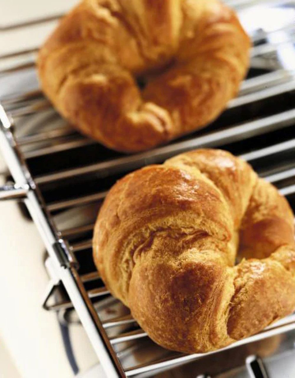 Dualit Toaster Dualit Paket 1, 2er Toaster mit GRATIS Brötchenaufsatz