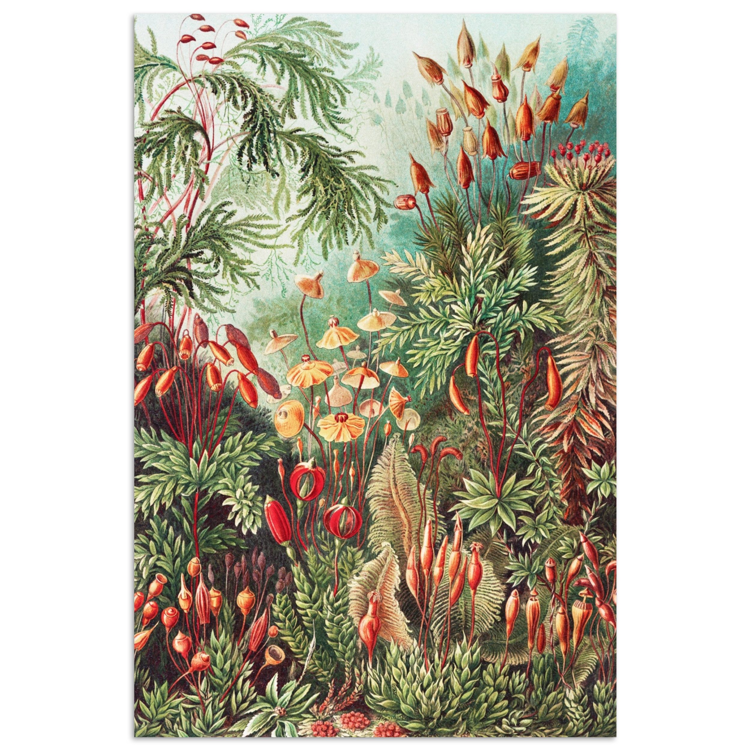 MuchoWow Poster Blumen - Kunst - Vintage - Natur - Botanisch, (1 St), Poster ohne Rahmen, Wandbild, Wandposter, 20x30 cm