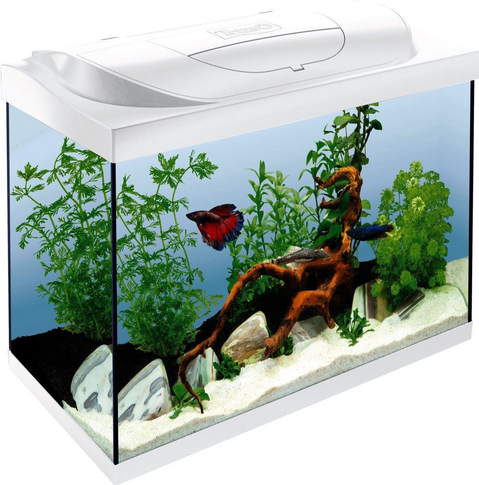 Tetra Aquarium Tetra Aquarium Starter Line LED 80 L weiß