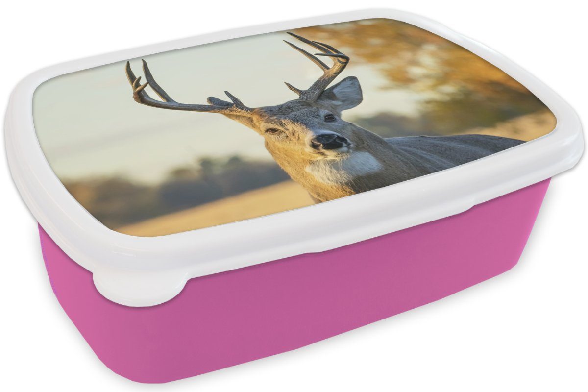 Kinder, Lunchbox Kunststoff Erwachsene, Brotbox MuchoWow (2-tlg), - Natur - - Herbst Kunststoff, Gras Geweih Hirsche Brotdose - - Mädchen, rosa Snackbox, Tiere, für