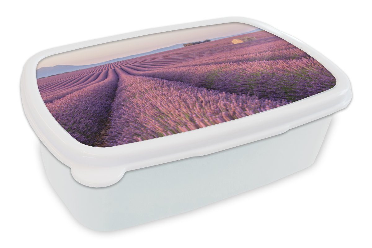 MuchoWow Lunchbox Ausgedehntes lila Lavendelfeld zwischen Bergen, Kunststoff, (2-tlg), Brotbox für Kinder und Erwachsene, Brotdose, für Jungs und Mädchen weiß