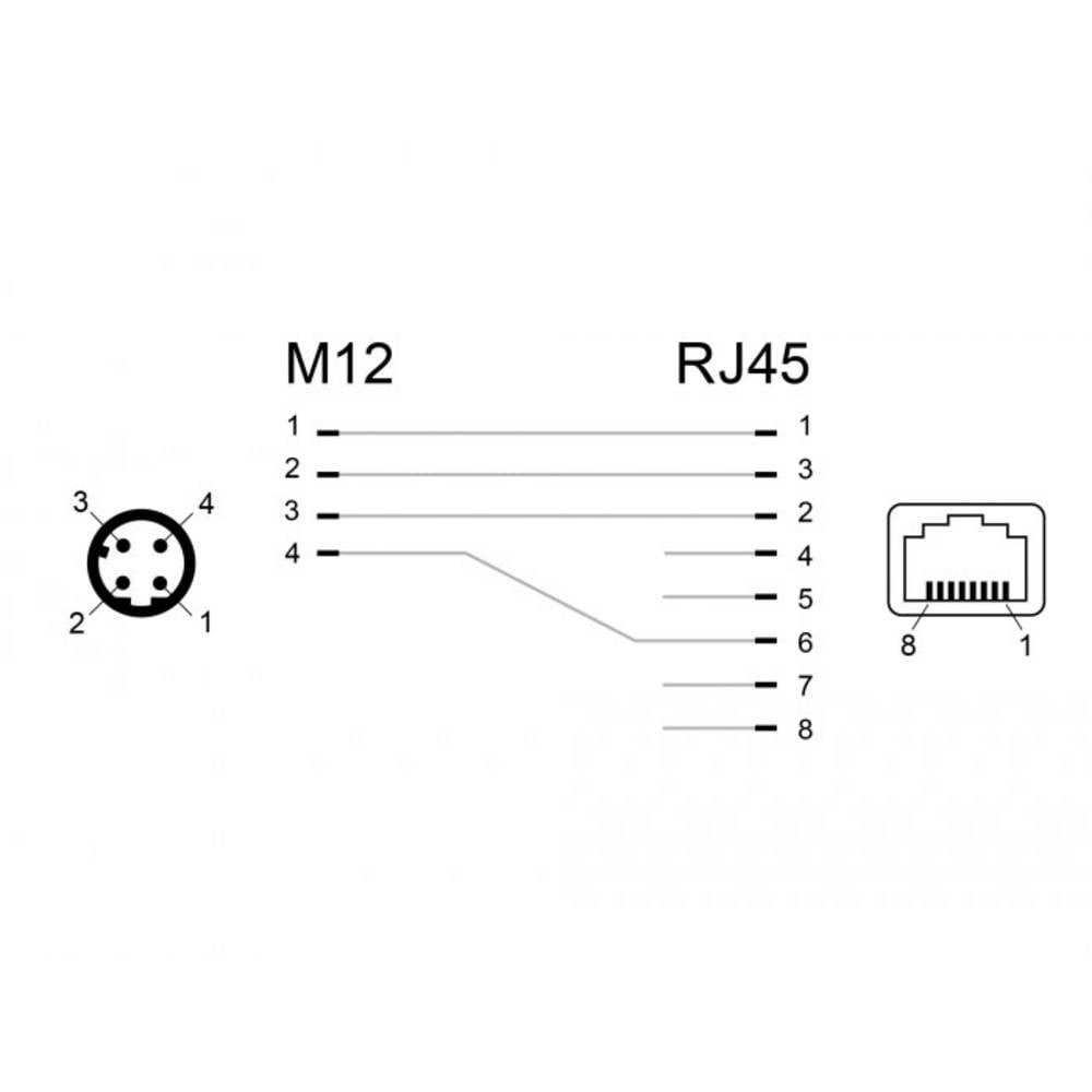 Delock M12 / RJ45 Netzwerk Adapter [1x M12-Stecker - 1x RJ45-Buchse] Schwarz Netzwerk-Adapter