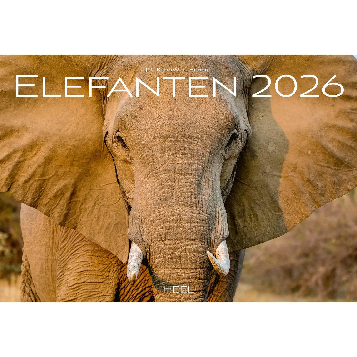 HEEL Verlag Wandkalender Elefanten Kalender 2026