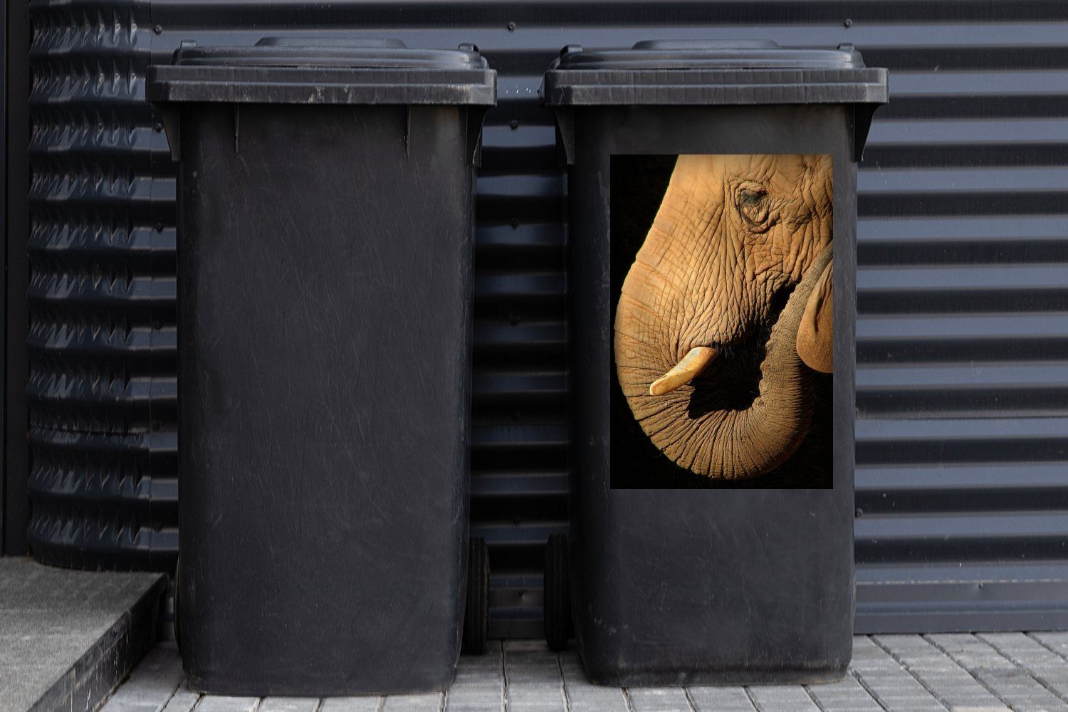 MuchoWow Wandsticker Elefant - Tiere - Sticker, (1 Schwarz Abfalbehälter Mülltonne, - St), Mülleimer-aufkleber, Container, Nahaufnahme