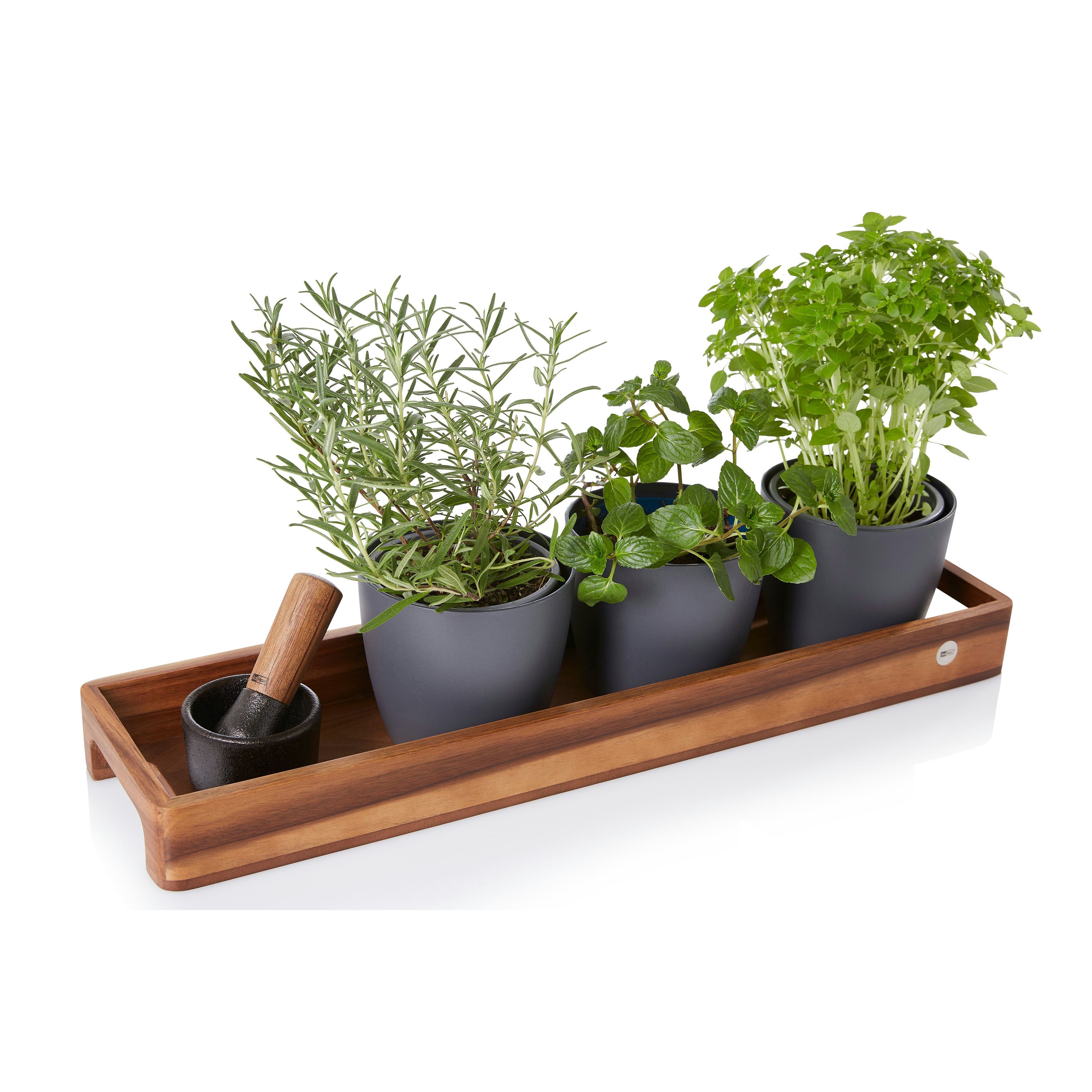 AdHoc Tablett SERVE SLIM, Akazienholz, Walnussholz, (1-tlg), hochwertiges Gewürz-, Getränke- oder Dekotablett 50x13 cm