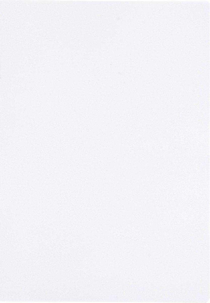 LANDRE Schulheft Schulheft A4 32 Blatt 80 g/qm Lineatur 20 (blanko) (10 Stück)