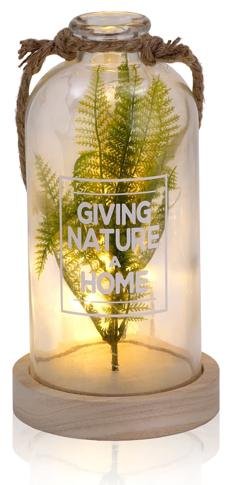 BRUBAKER LED Dekolicht Lichterflasche Giving Nature a Home - Farn oder Olivenzweig, LED Lichterkette, Warmweiß, Dekoleuchte mit 10 LED Sternen, Party Licht Deko