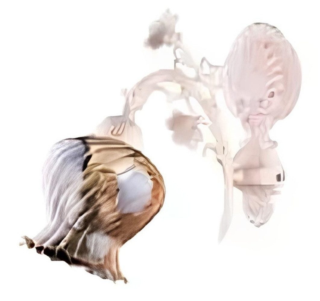 JVmoebel Wandleuchte Weiß Wandlampe Blumen Wandleuchte Lüster Wand Lampe Glas, Keine Funktionen, Leuchtmittel wechselbar, Made in Europa