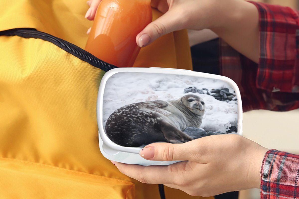 Kunststoff, (2-tlg), Brotdose, - Erwachsene, MuchoWow Jungs Robbe Strand, Lunchbox - für Kinder Brotbox weiß und für Mädchen und Schnee