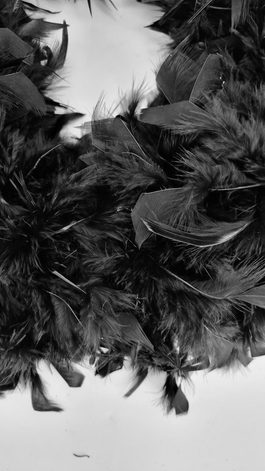 CreaFlor Home Dekokranz Federn, Handgefertigt günstig online kaufen