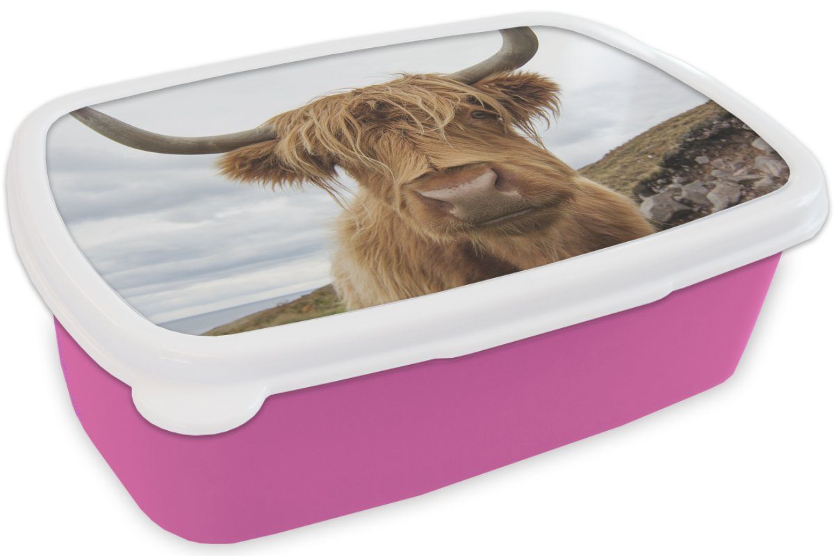 MuchoWow Lunchbox Kinder, für (2-tlg), Mädchen, - Hörner rosa Berg, - Brotdose Kunststoff Brotbox Erwachsene, Highlander Snackbox, Schottischer Kunststoff