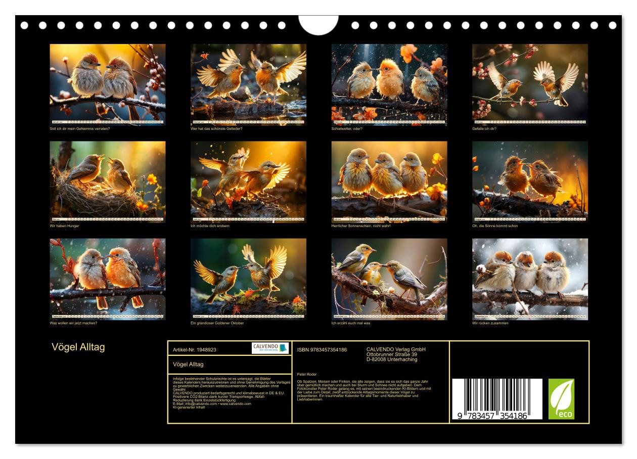 Thumbnail - CALVENDO Wandkalender Vögel Alltag (Wandkalender 2026 DIN A4 quer), CALVENDO Monatskalender