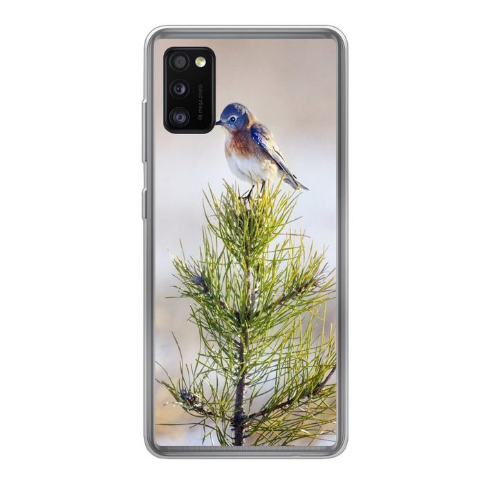 MuchoWow Handyhülle Vogel auf einem Ast eines Baumes Handyhülle Samsung Galaxy A41 Smartphone-Bumper Print Handy